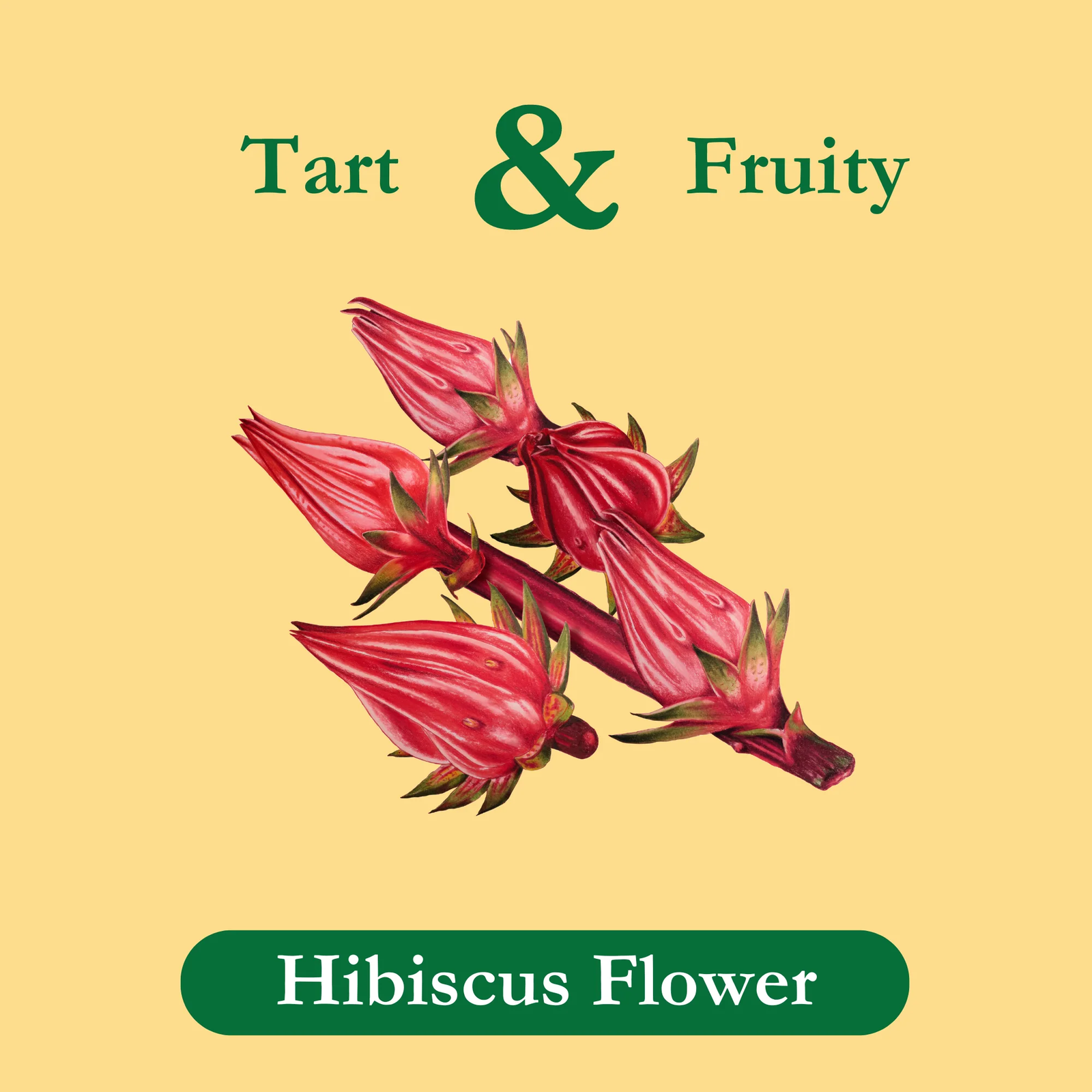 Organic Hibiscus Tea - Image 3