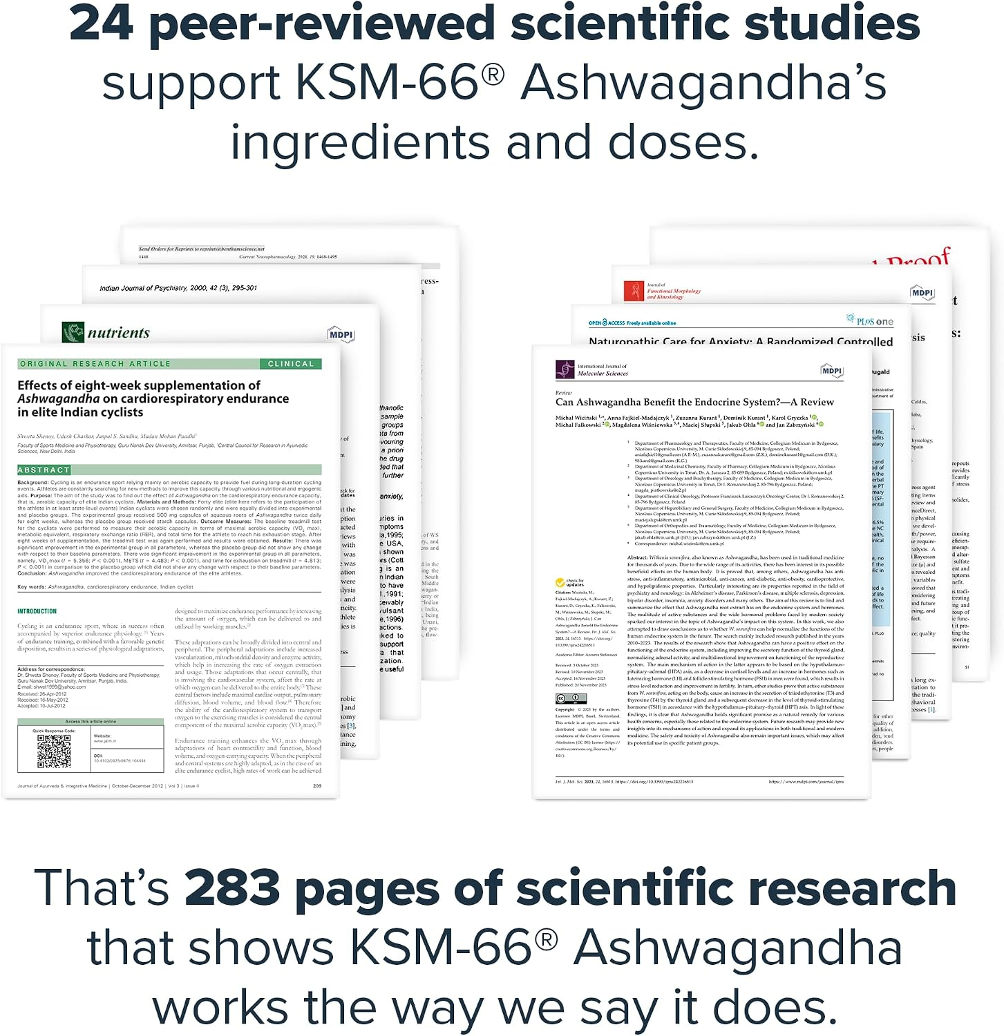 CalmMind™ KSM-66® Ashwagandha Root Extract - Image 5